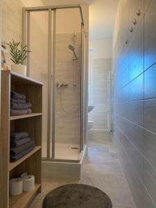 a bathroom with a shower with a glass door at Gästewohnung KL WZL 31 8 