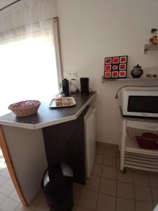 eine Küche mit einer Theke und einer Mikrowelle in der Unterkunft Studio entre Aix et Marseille in Bouc-Bel-Air