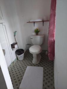 ein kleines Bad mit WC und Teppich in der Unterkunft Larmar bed and breakfast in Puerto Princesa