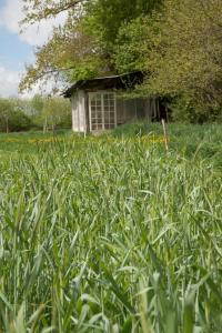 Gallery image of Camping sous les Poiriers in Domfront