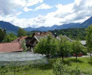Příroda nedaleko apartmánu + 4 fotografie