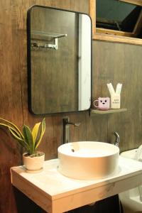 um lavatório de casa de banho com um espelho e um vaso de plantas em Thanh Bình Homestay em Khu Chi Lăng