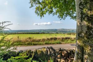 a road in a field with a tree at Stylish 2 bedroom Cottage near Glasgow Airport in Lochwinnoch