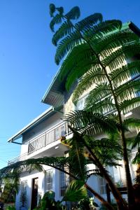 努沃勒埃利耶的住宿－費恩賓館，前面有棕榈树的建筑