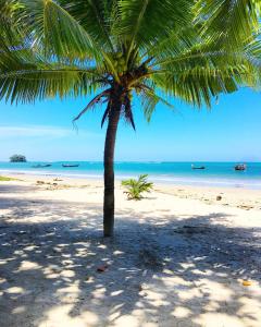 a palm tree on a sandy beach with the ocean at 1b pool, Gym, walk to lovely Naiyang Beach in Nai Yang Beach