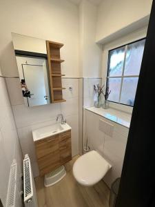 a bathroom with a toilet and a sink and a mirror at Haus Zuckersnuut in Dornum