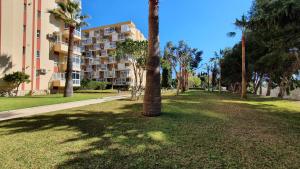 Zahrada ubytování Benalmadena Sunny Days