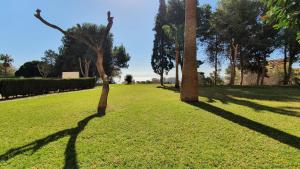 Zahrada ubytování Benalmadena Sunny Days