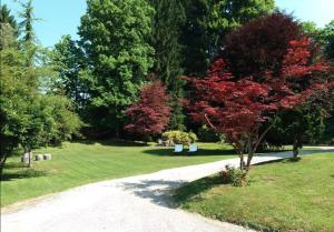 un chemin dans un parc avec des arbres à feuilles rouges dans l'établissement La Villa del Lago, à Ghirla