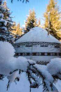 Yurty Mc yurt през зимата
