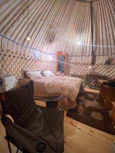 a tent with a bed and a chair in a room at Yurty Mc yurt in Dzhetyoguz