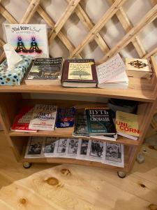 een boekenplank gevuld met veel boeken bij Yurty Mc yurt in Dzhetyoguz