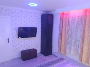 TV a/nebo společenská místnost v ubytování Apartman Hrkalovic