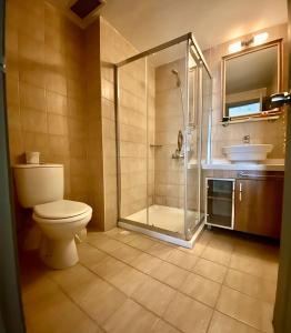 a bathroom with a shower and a toilet and a sink at Kafkas Hotel Istanbul in Istanbul