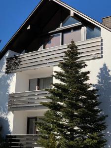 ヴィンターベルクにあるFerienwohnung Rad-Skiの白い建物前のクリスマスツリー