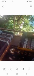 Area soggiorno di treehouse above the beach