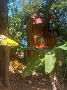Giardino di treehouse above the beach