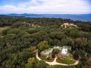 an aerial view of a house in the woods at Les Pamplemousses charmante villa proche de la mer in Porquerolles