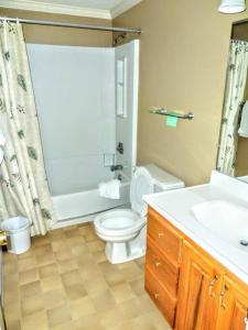 a bathroom with a white toilet and a sink at ML229 Mountain Escape! Great for relaxing! 2BR 2BA in Snowshoe