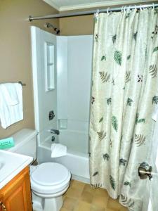 a bathroom with a toilet and a shower curtain at ML229 Mountain Escape! Great for relaxing! 2BR 2BA in Snowshoe