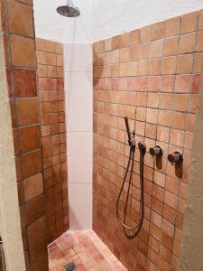 a shower with a hose in a bathroom at B&O Vermietung in Kerken