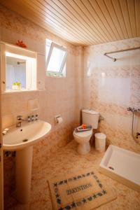 uma casa de banho com um lavatório, um WC e um espelho. em Vivi's Studios em Alykes