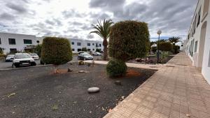 a group of birds sitting on the side of a street at CASA LORY in Playa Blanca