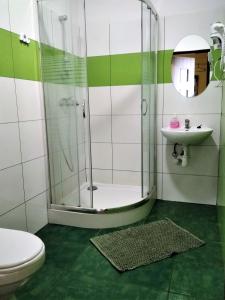 a bathroom with a shower and a toilet and a sink at Hostel Omega in Rzeszów