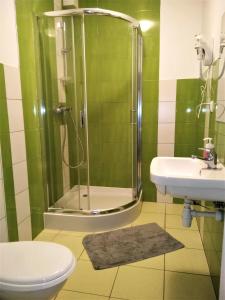 W łazience znajduje się prysznic, umywalka i toaleta. w obiekcie Hostel Omega w mieście Rzeszów