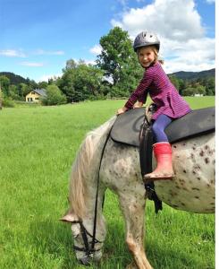 una niñita sentada sobre un caballo en un campo en Mühle in der Pferdewelt Reichenau en Reichenau