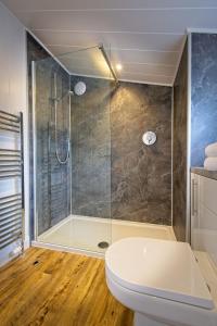 a bathroom with a shower and a toilet at The Pond Lodges Barstobrick in Ringford