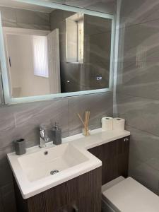 a bathroom with a sink and a toilet and a mirror at The Hoot Luxury home close to town and beaches in Pembrokeshire