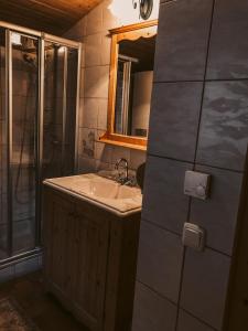 a bathroom with a sink and a shower at Kuhlinarik Apartment in Prama