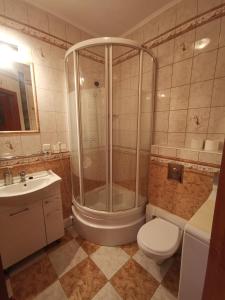 a bathroom with a shower and a toilet and a sink at Apartament Spacerowa z balkonem in Kołobrzeg