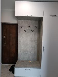 kuchnia z blatem z czterema ptakami na ścianie w obiekcie Квартира на двох, в центрі міста w mieście Mukaczewo
