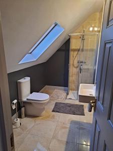 a bathroom with a toilet and a shower and a skylight at Fearmore view in Kildare