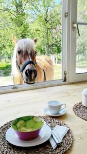 a horse looking out of a window with a bowl of fruit at Cosy Family Apartment in Reichenau