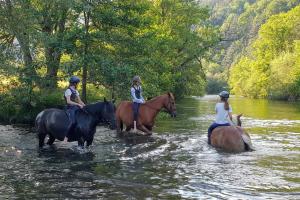 a group of people riding horses through a river at Cosy Family Apartment in Reichenau