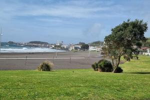 een strand met een boom en een grasveld bij Apartamento Praia-Mar in Ponta Delgada