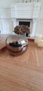 a large glass bowl on the floor in a room with a fireplace at Hôtel particulier - Le 119 in Valenciennes