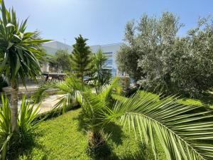 哈馬馬特的住宿－Villa des Oliviers Hammamet B&B，一群棕榈树在一座建筑前