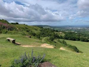 a bench sitting on top of a grassy hill at Blacklaines Annexe Birdlip - Pet friendly! in Gloucester