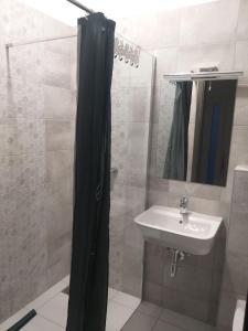 ein Bad mit einem Duschvorhang und einem Waschbecken in der Unterkunft Sauna Fifty Rekreációs Szaunapark in Vaszar