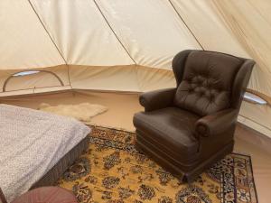 Gallery image of Go Wild Glamping in Sibiu
