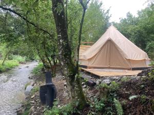 a tent in the woods next to a river at Go Wild Glamping in Sibiu