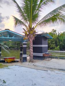 a palm tree in front of a building with a boat at Airport Kota Bharu Homestay & Riverview Inn in Kota Bharu