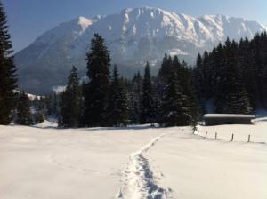 Guffertblick зимой