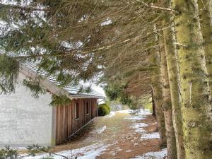 una cabaña en el bosque con nieve en el suelo en Teichalm Lodge Landhaus, en Fladnitz an der Teichalm