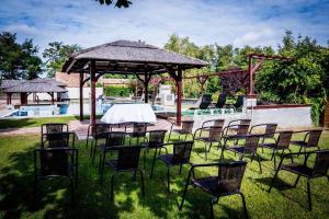 een groep stoelen en tafels in het gras bij een zwembad bij Liza Aqua & Conference Hotel in Lajosmizse