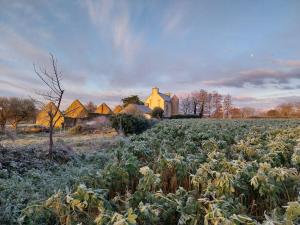 ein Feld von Kulturen mit einem Haus im Hintergrund in der Unterkunft Manoir de kerozet - Chambres chez l'habitant in Plouider